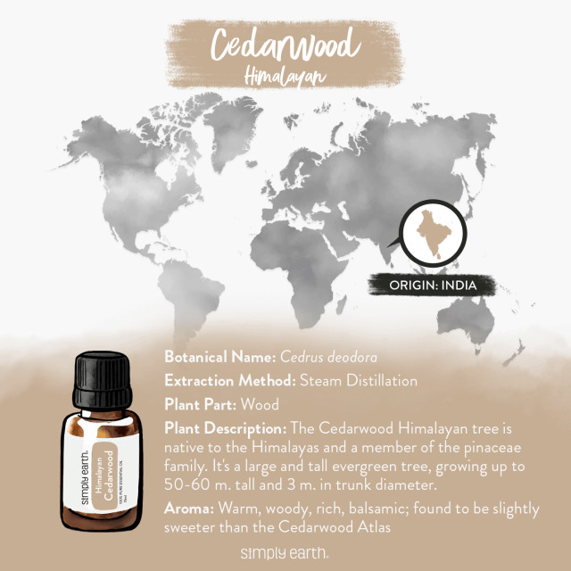 Cedarwood Himalayan Essential Oil